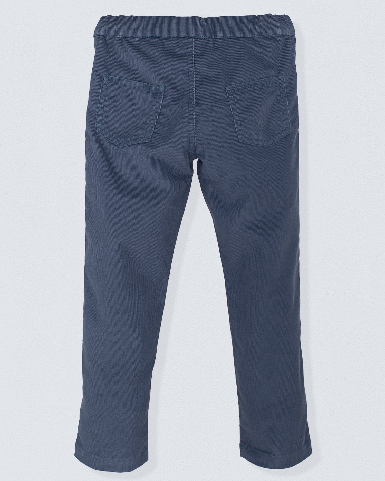 Bradley Italian Twilight Corduroy Pant
